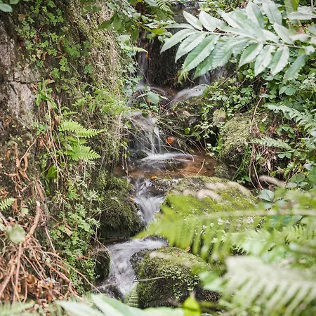 아파트호텔 Lumiflats 오펜부르크